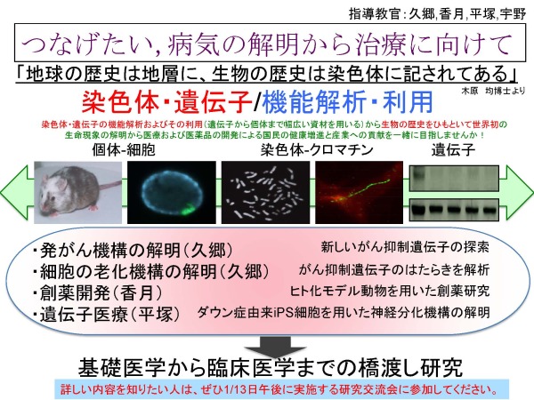 2015年度卒業研究生募集要項