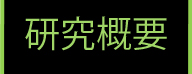 研究概要