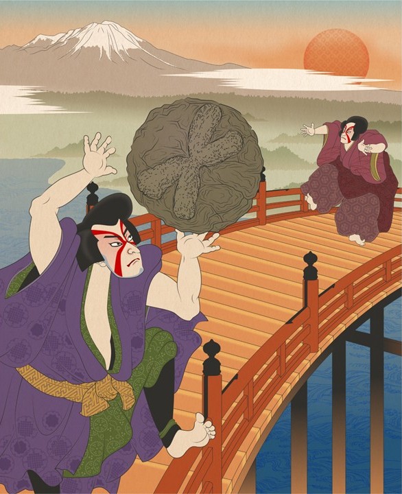 20241223ヒトiPS細胞間での染色体導入を実現