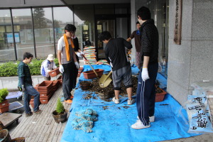 花の植え替え③