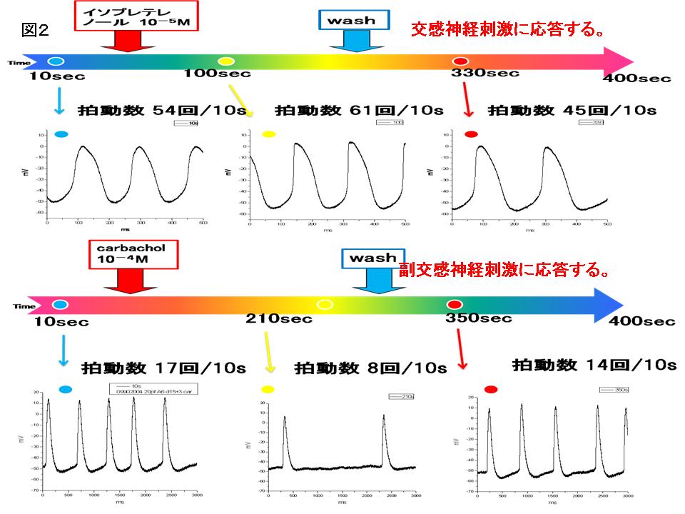 saisei2