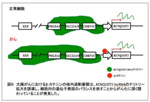 図６