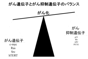 図1