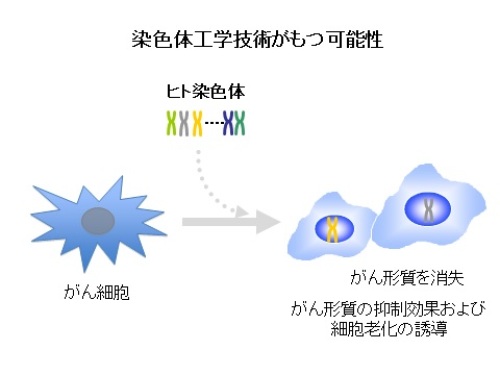 図3