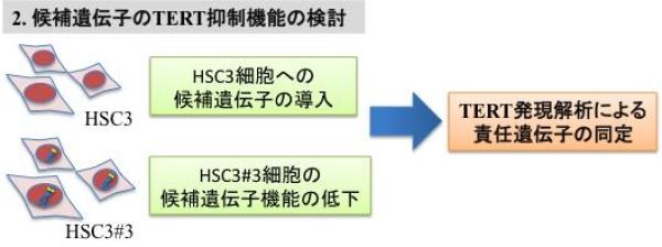 図6