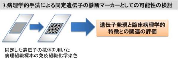 図7