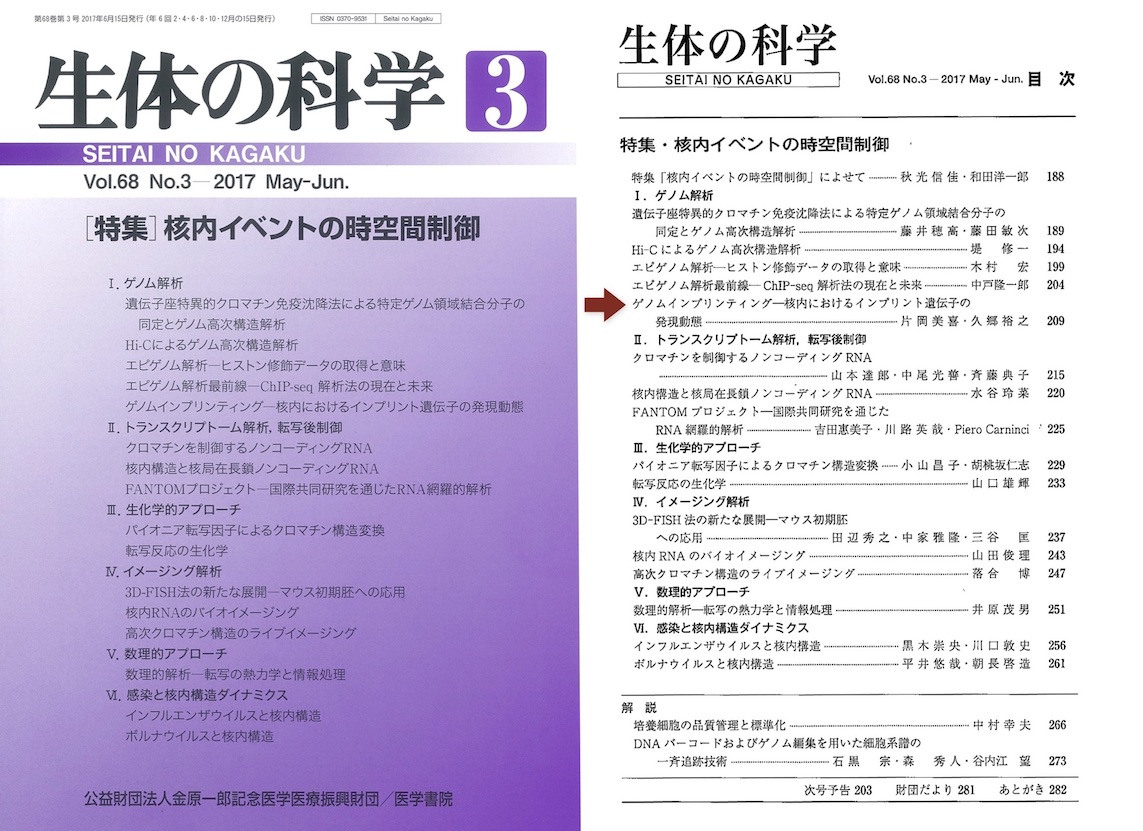 kataoka_kugo_201706