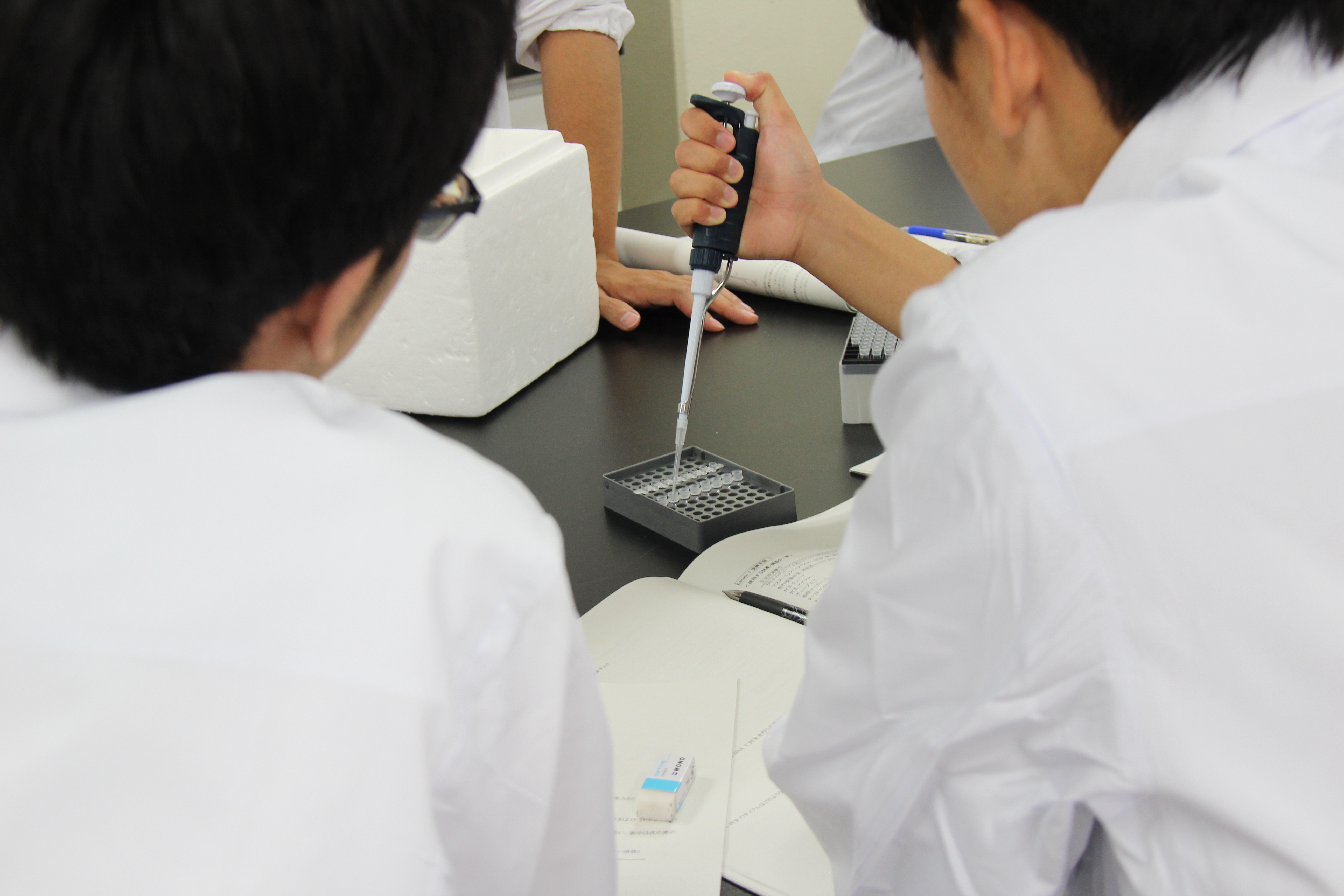 290808「探究的な学習」（新着情報）2