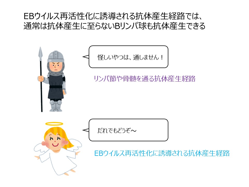 長田先生原稿用画像3