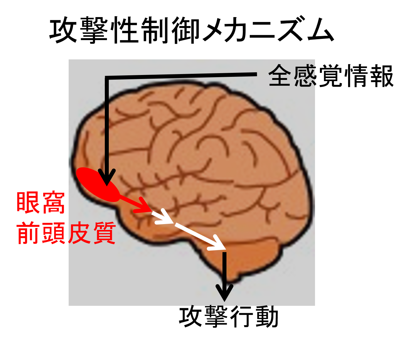 一坂先生_01