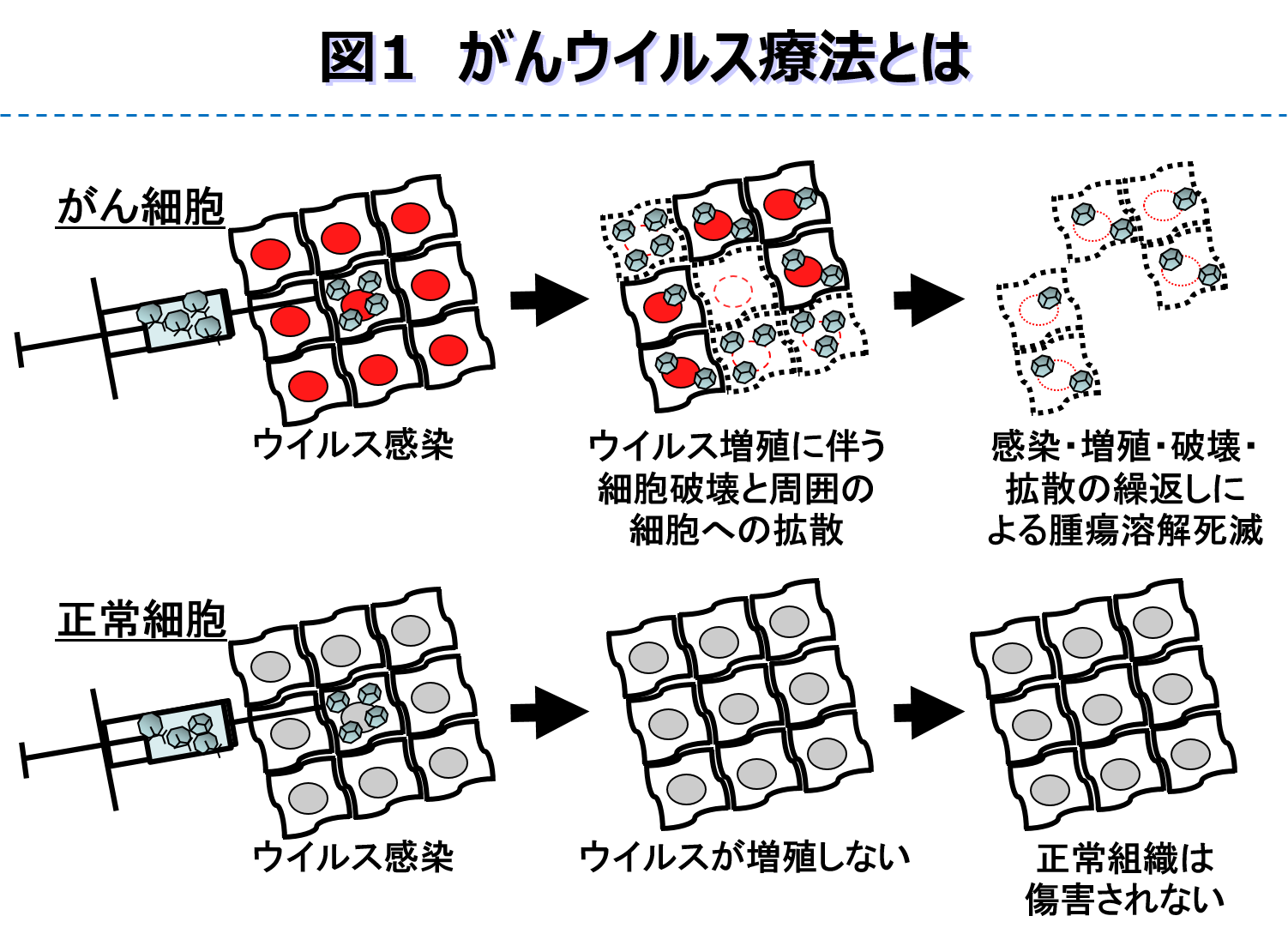 概要(研究室一覧)_分子医学01