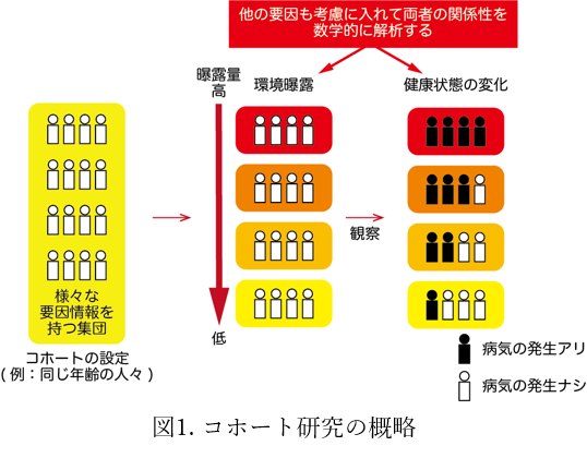 この人に注目　増本先生01