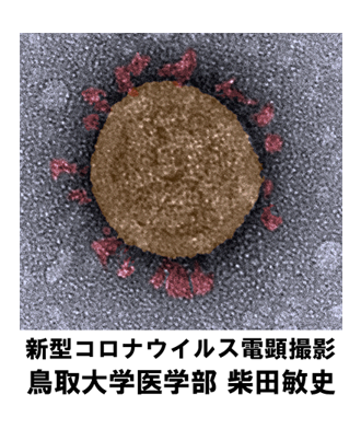 トップ > 医学部の紹介 > 医学科 > 概要 > 研究室一覧 > 感染制御学講座 > 細菌学分野　01