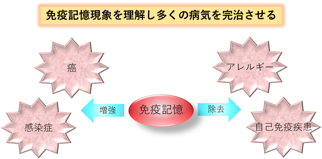トップ > 研究情報 > この人に注目！ > 常世田先生図表