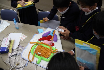 トップ > 新着情報>附属小キャリアに拓く⑬