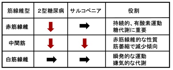 トップ > 研究情報 > この人に注目! 今村先生02
