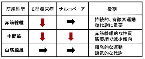 トップ > 研究情報　> この人に注目！　今村先生02