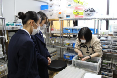 トップ > 新着情報 鳥東生命科学科体験セミナー06