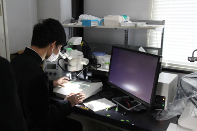 トップ > 新着情報 鳥東生命科学科体験セミナー08