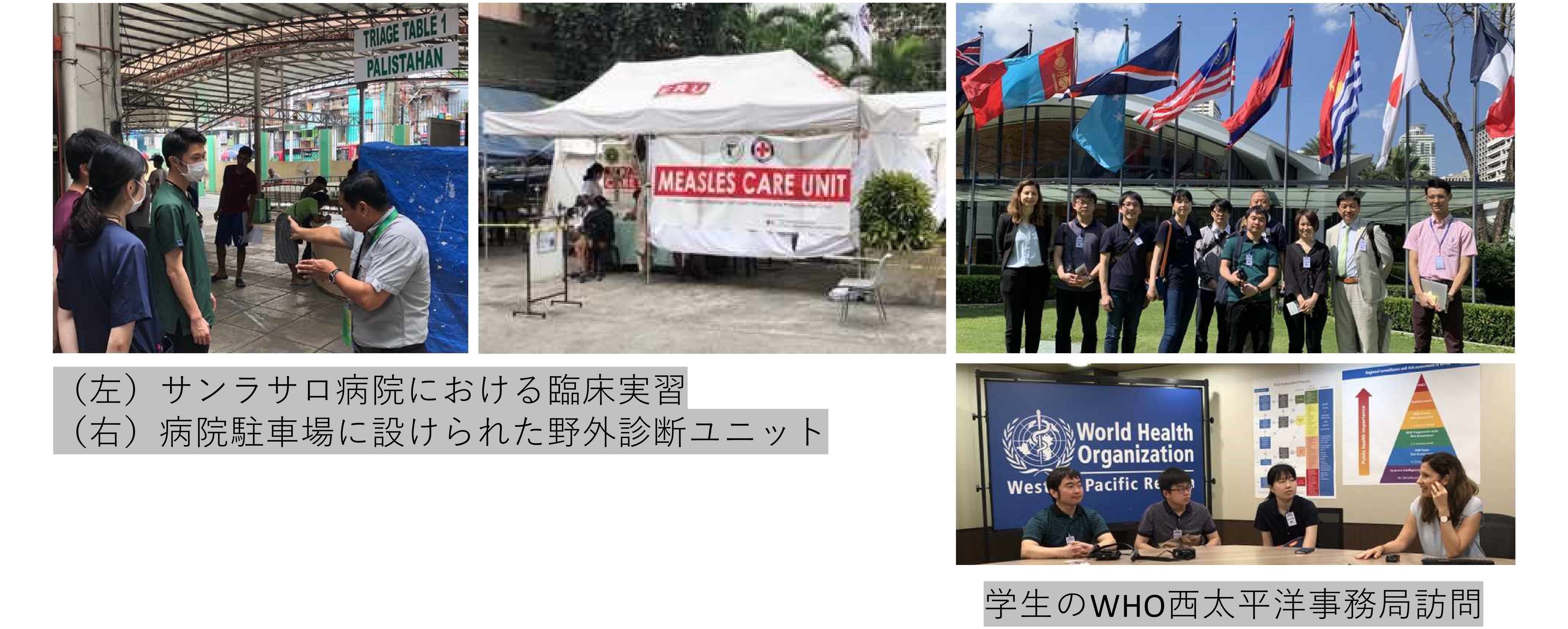 トップ > 医学部の紹介 > 医学科 > 概要 > 研究室一覧 > 感染制御学講座 > ウイルス学分野01