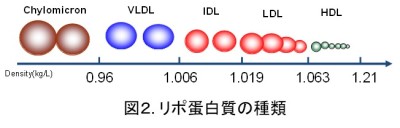 トップ > 研究情報　> この人に注目！　臼井先生03