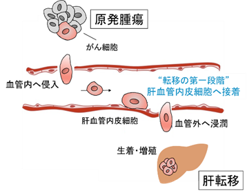 井筒先生研究室紹介
