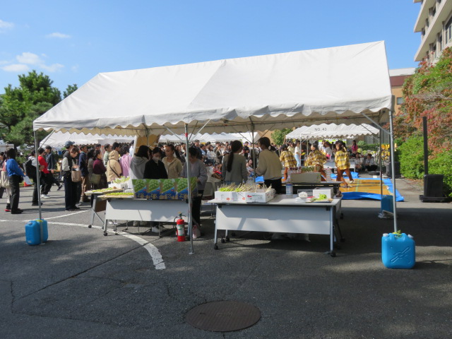 錦祭