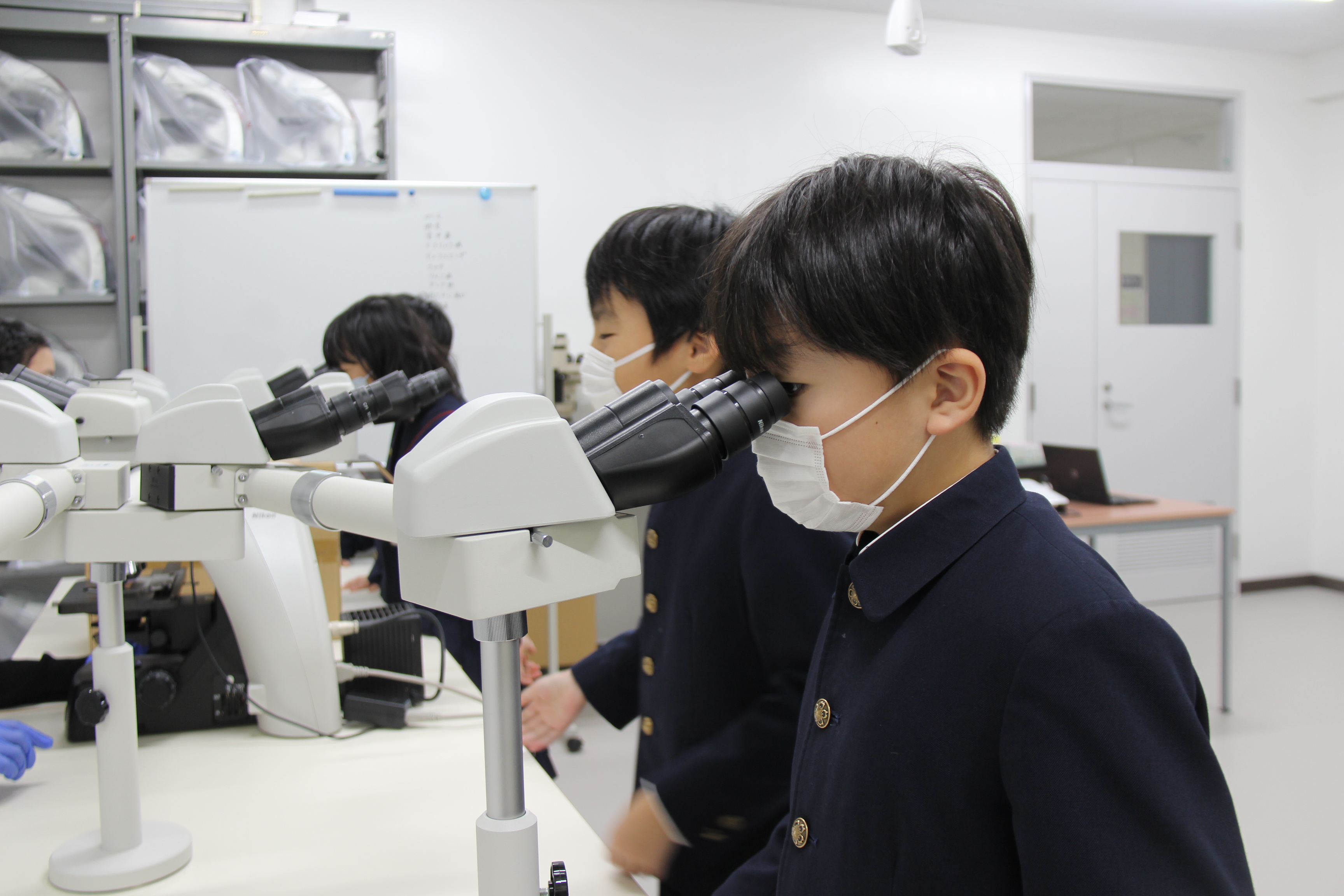 キャリアに拓く生命
