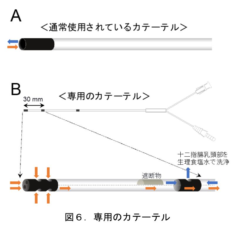 プレスリリース参考図