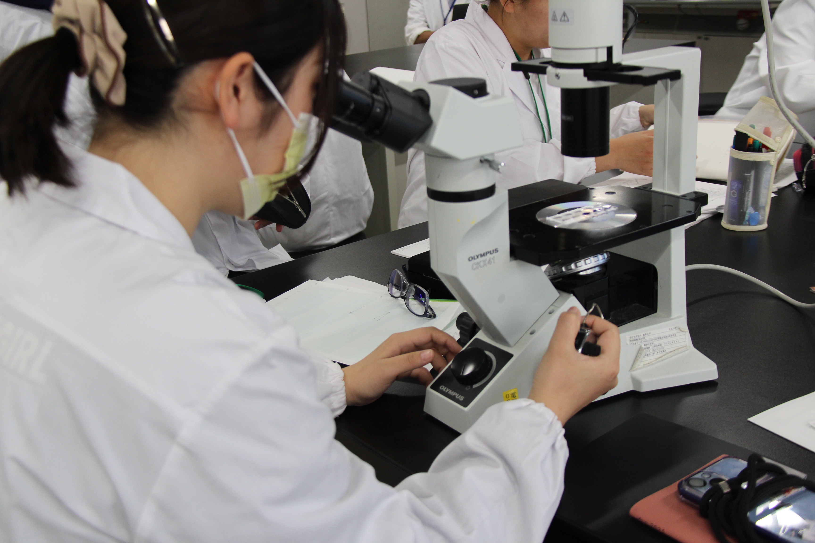細胞工学実習