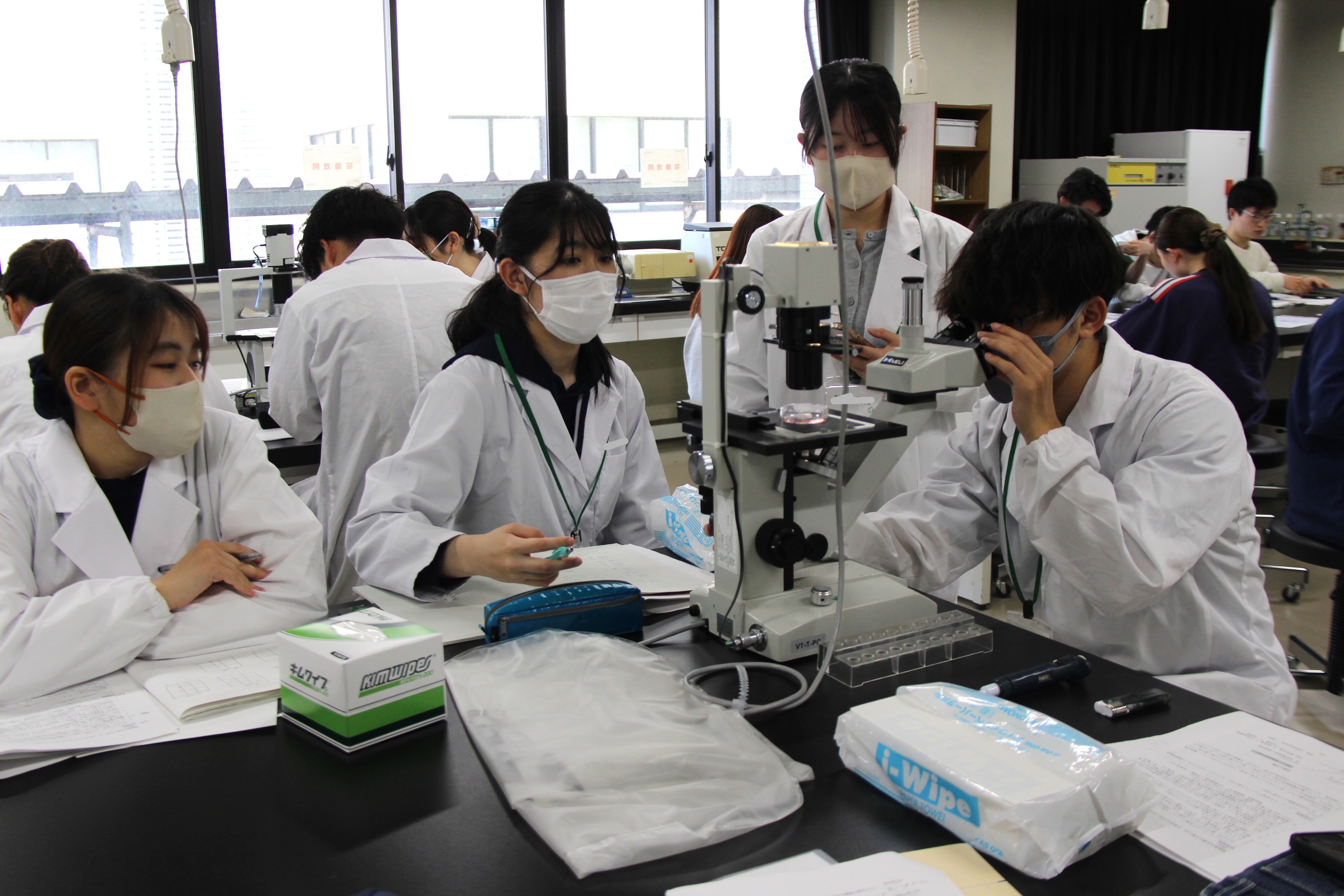 細胞工学実習