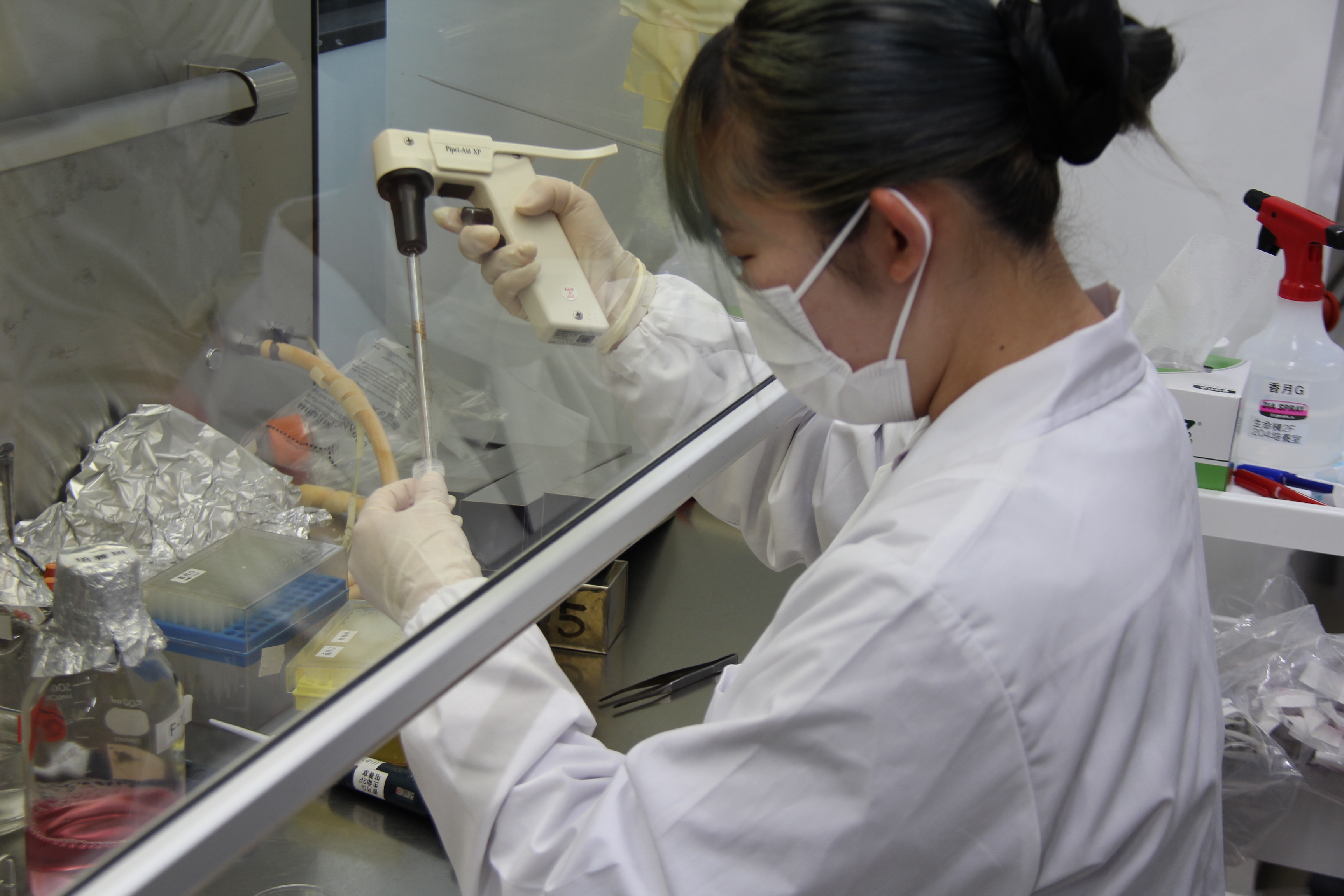 細胞工学実習