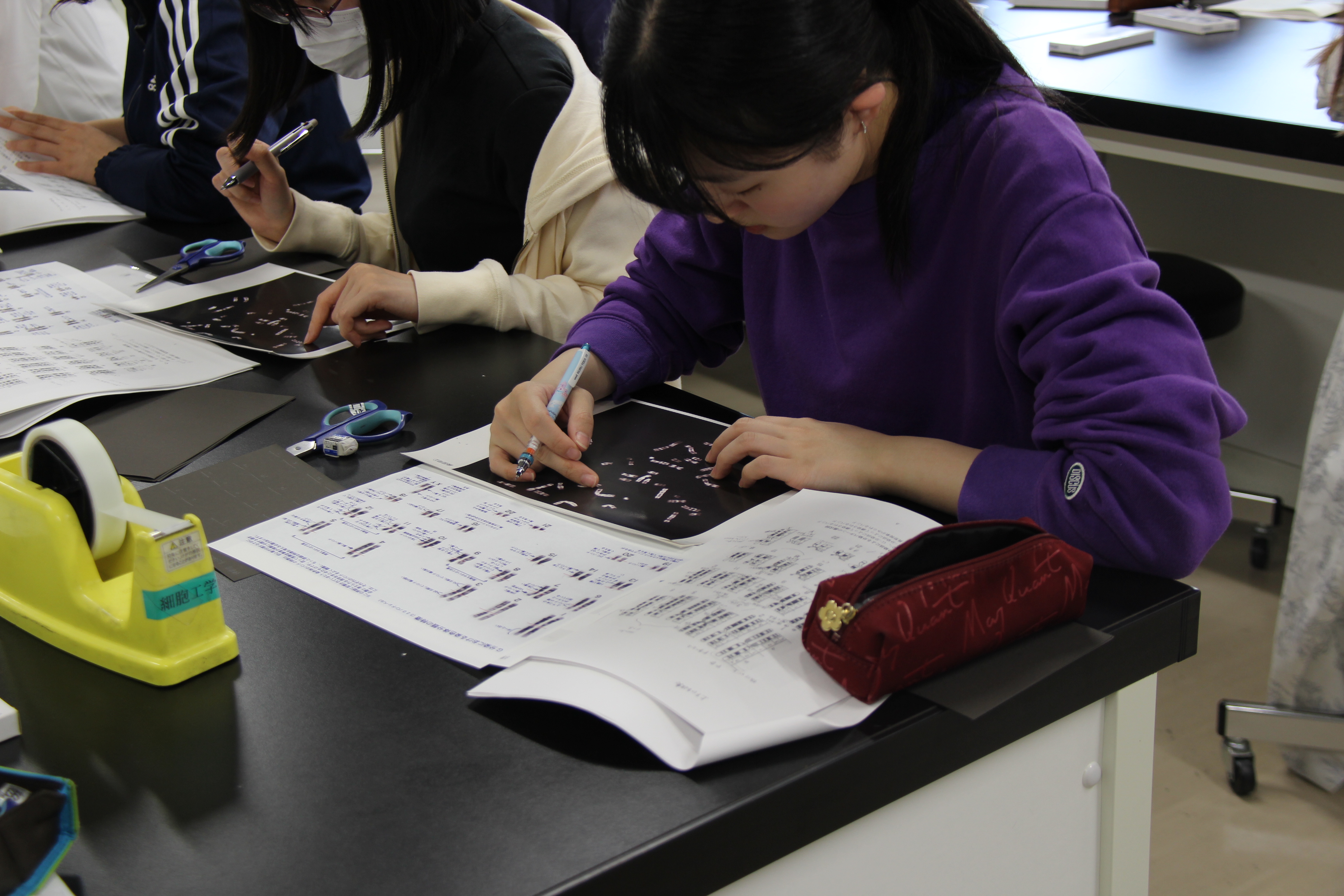 細胞工学実習