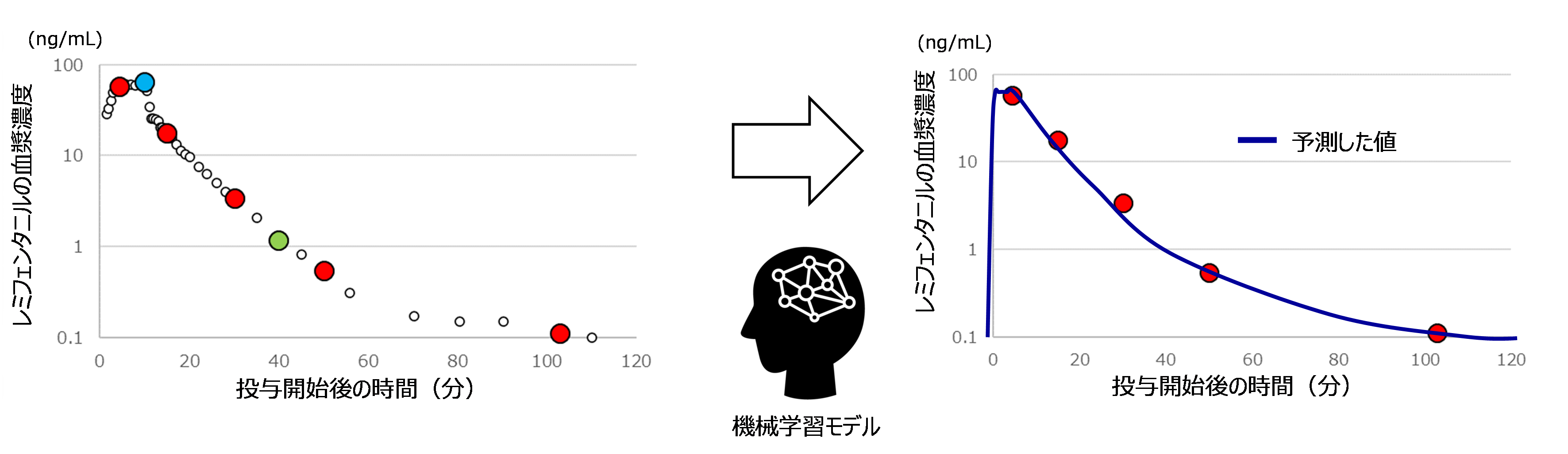 岩田先生プレスリリース