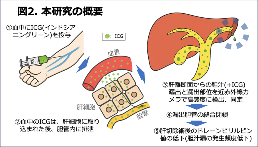 花木先生プレスリリース図2
