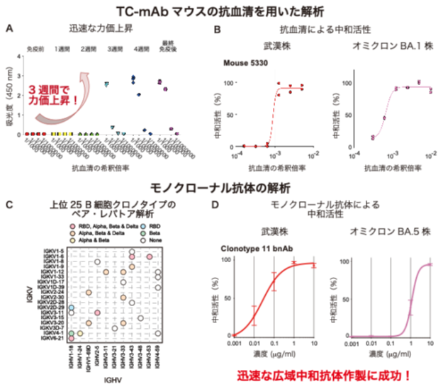 香月先生プレス参考図2