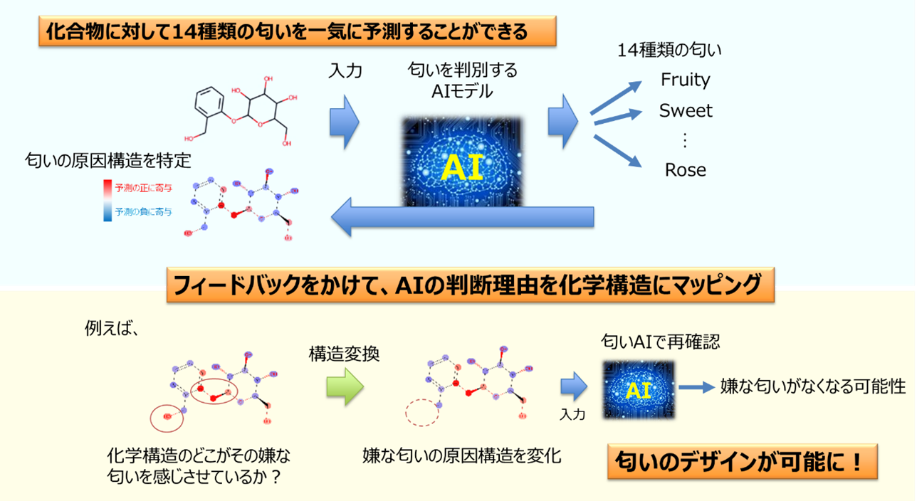 岩田先生プレスリリース