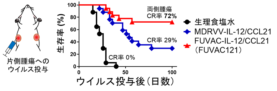 中村先生プレスリリース