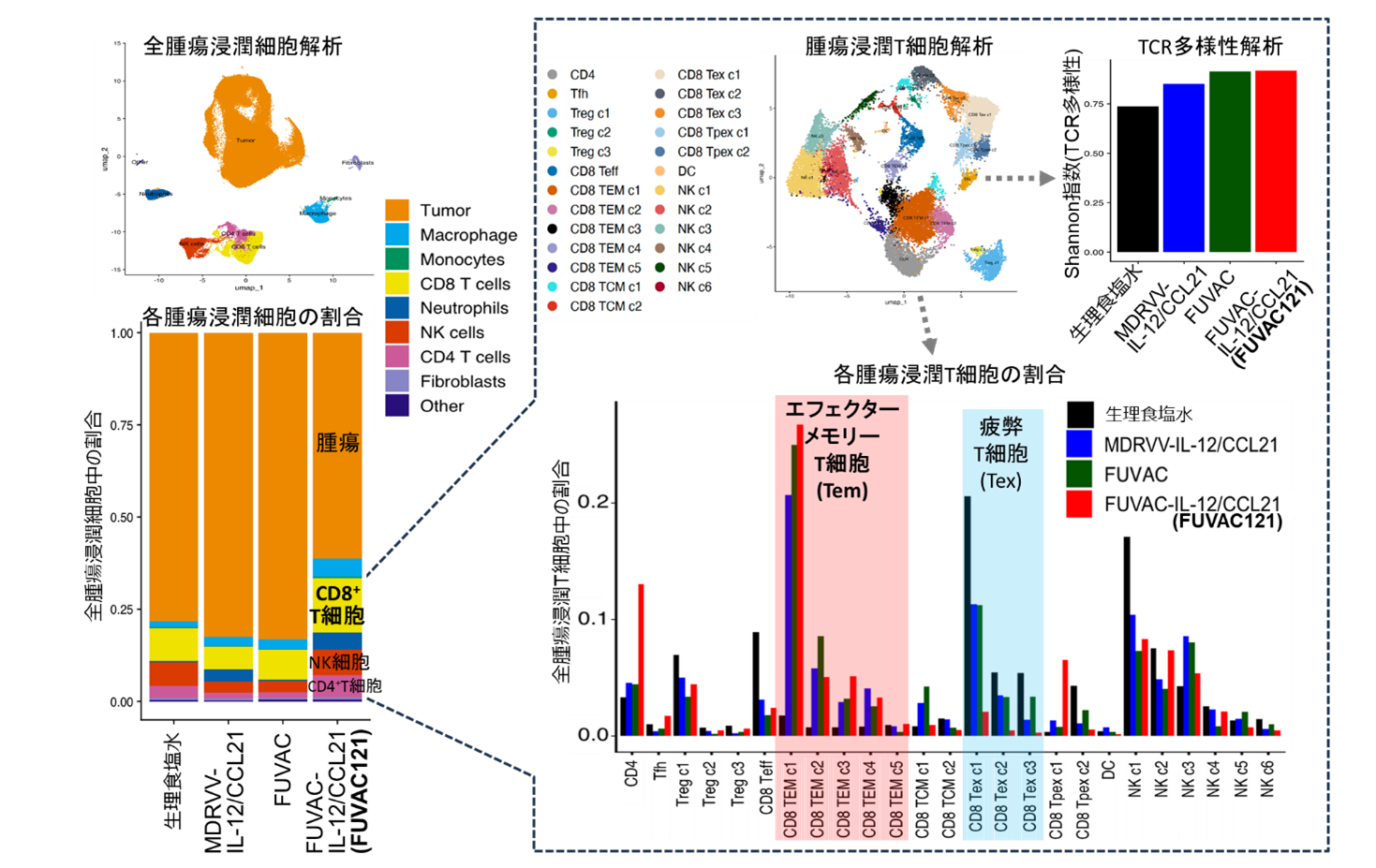 中村先生プレスリリース
