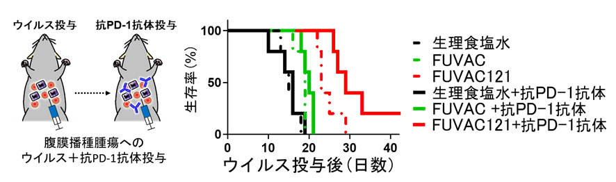 中村先生プレスリリース