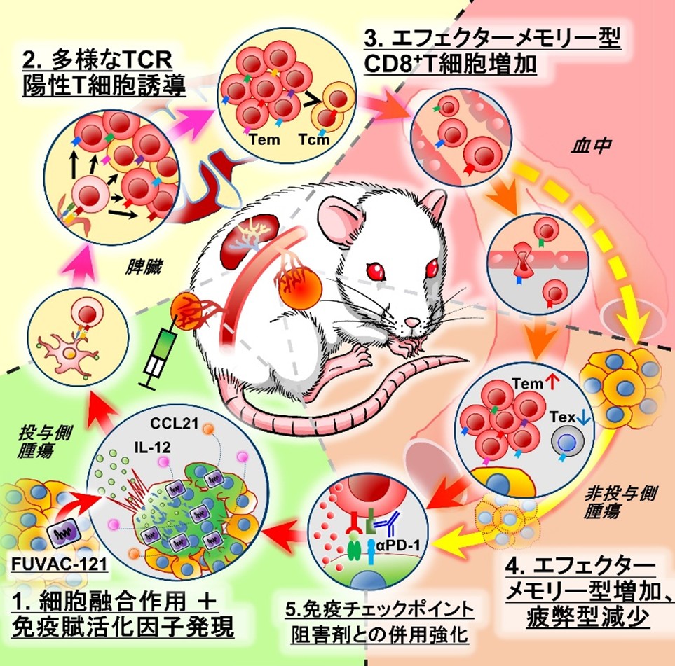 中村先生プレスリリース
