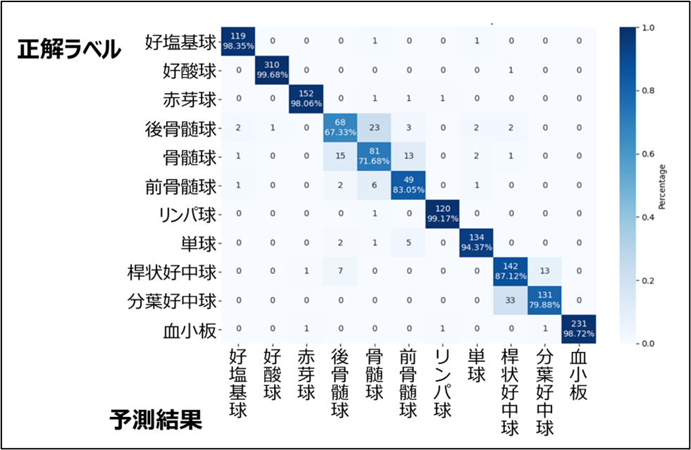 岩田先生プレスリリース
