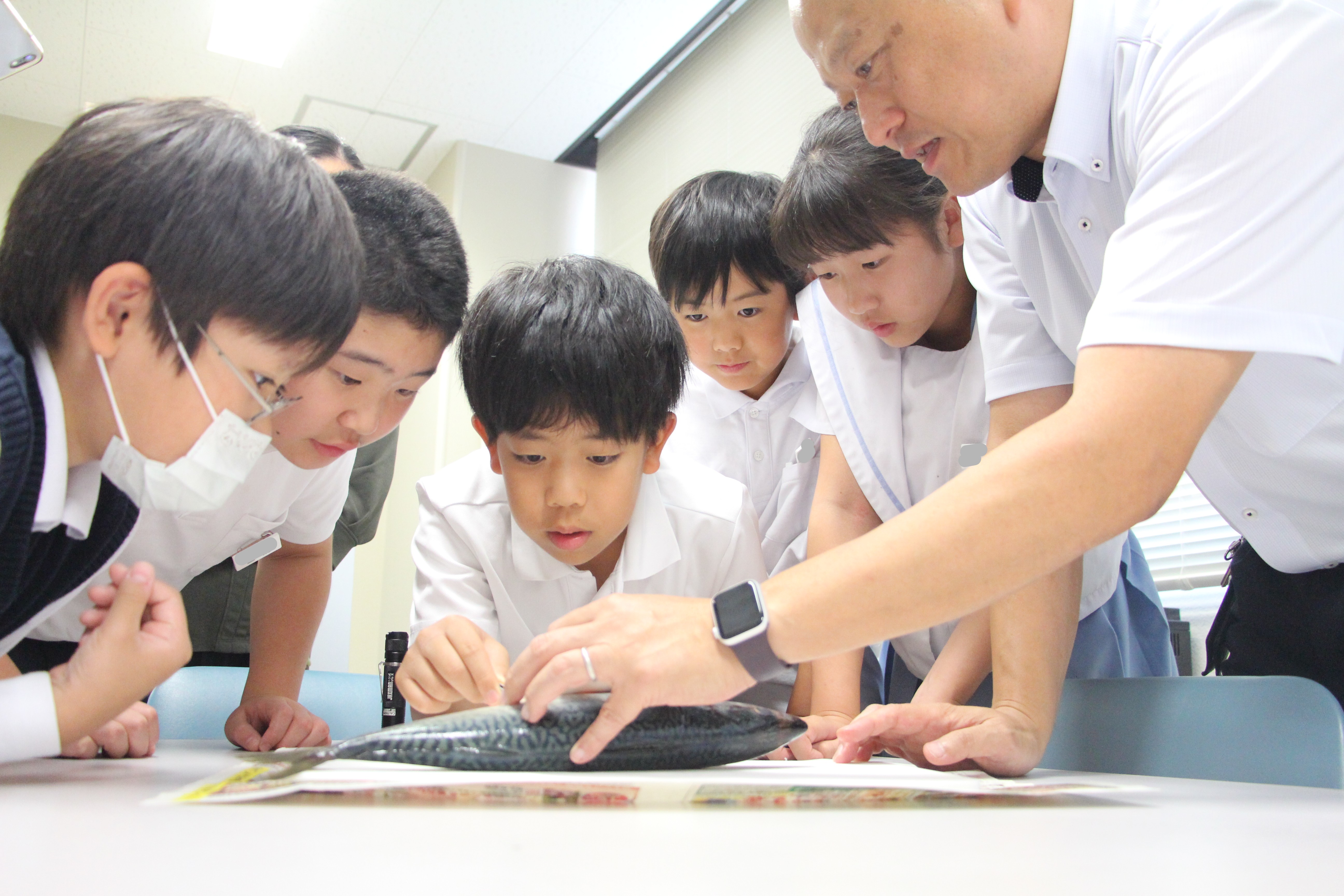 キャリアに拓くDay1医学科④