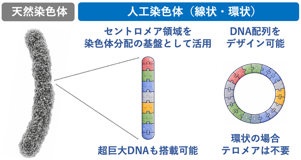 参考図1