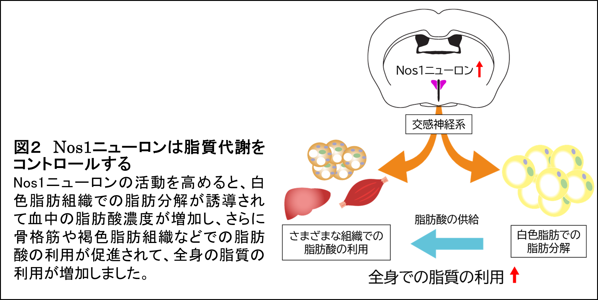 参考図2