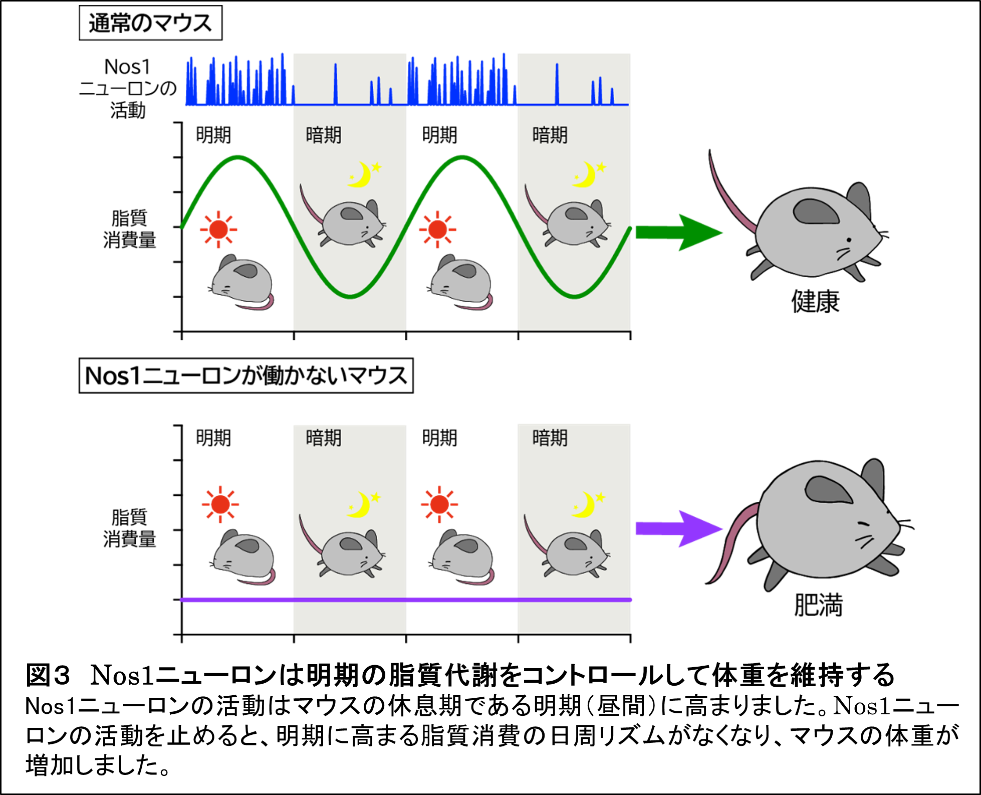 参考図3
