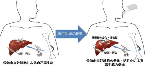 研究内容②