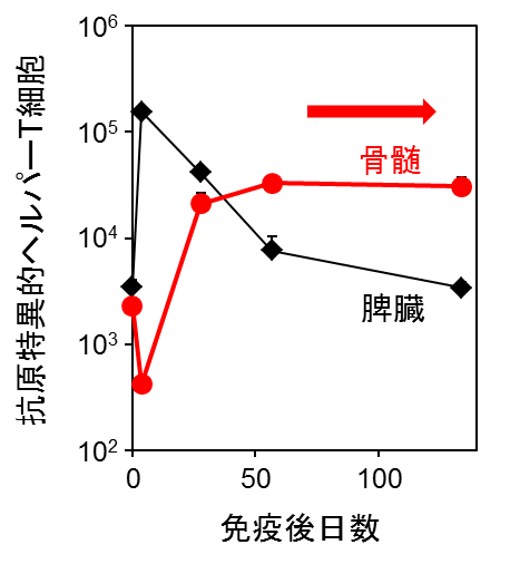 図2