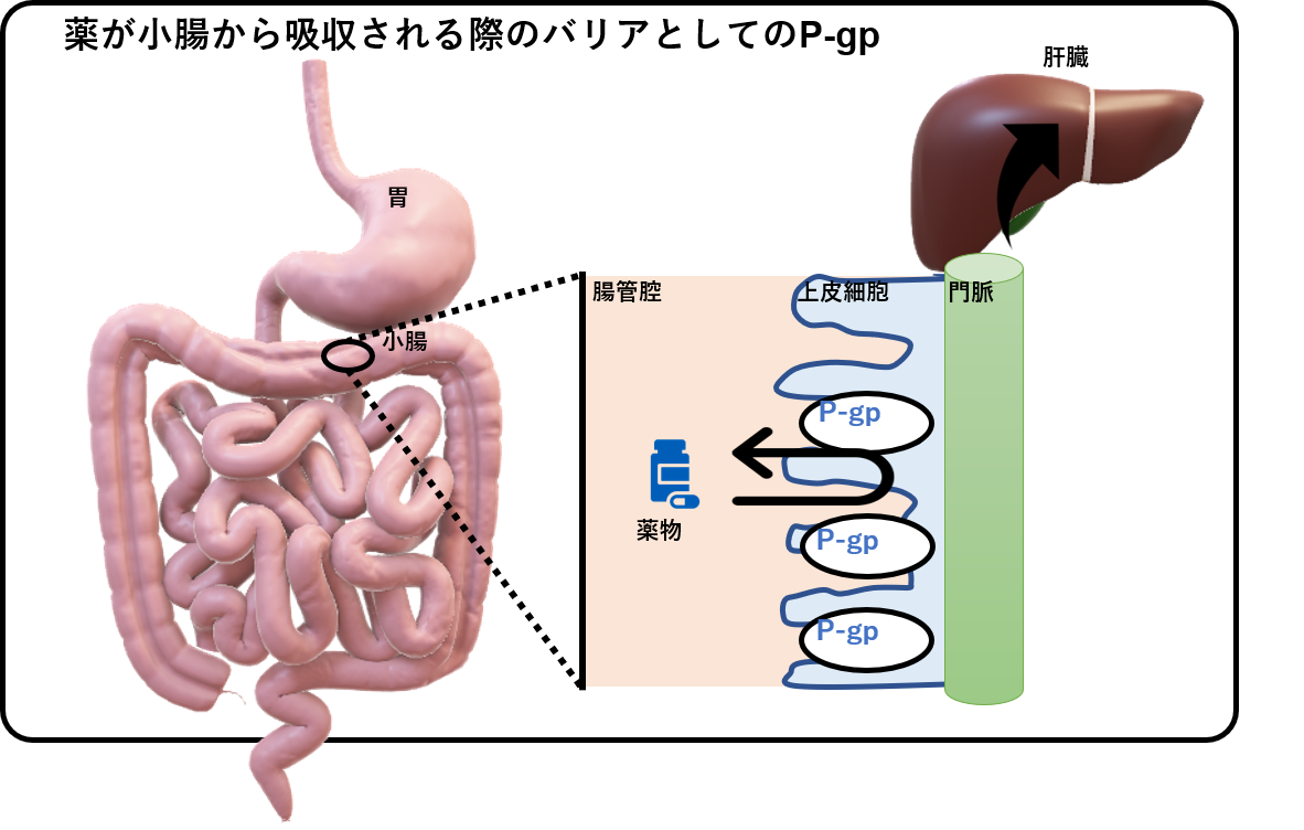 香月先生8.4