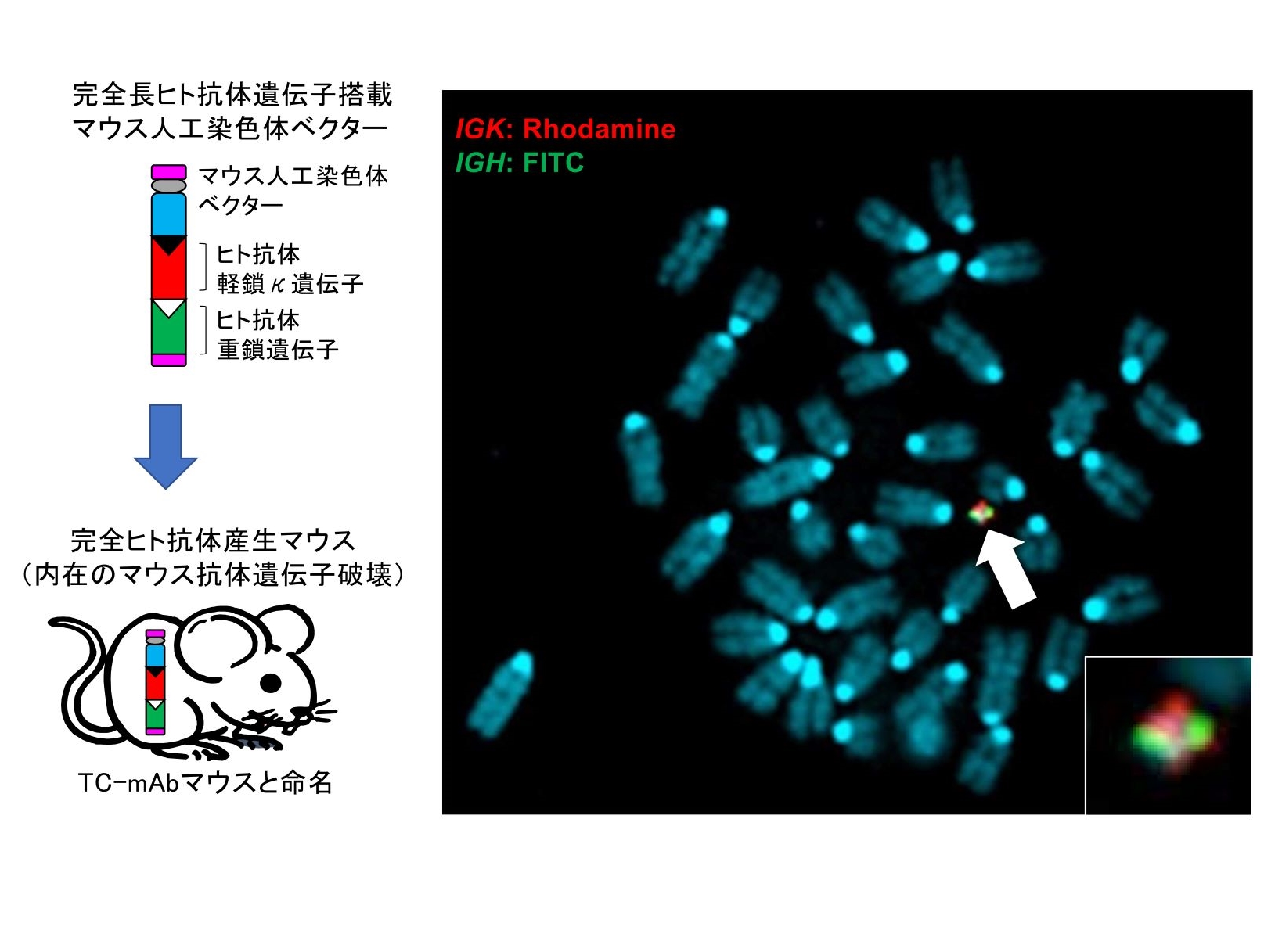 香月先生20220406-2